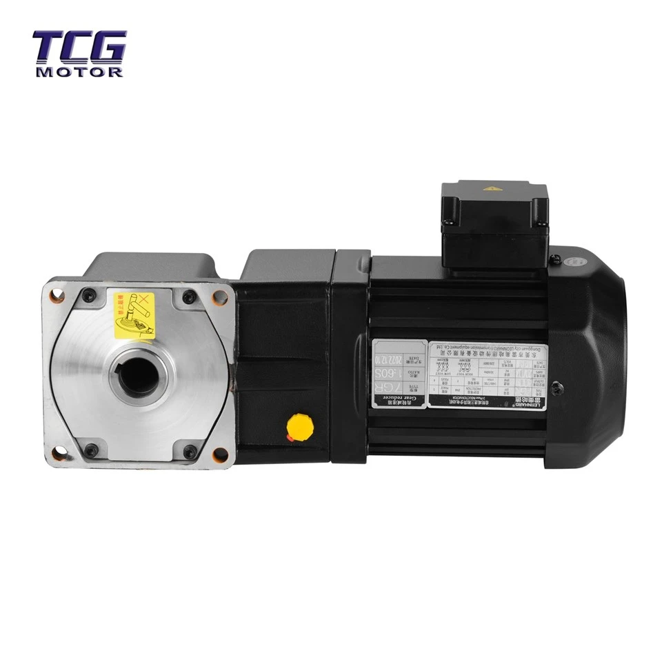 Ac Gear Motor Variable Speed high quality